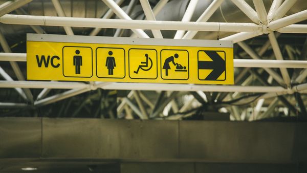 Thumbnail image of Accessibility Around Us