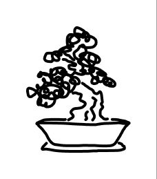 An illustration of a bonsai tree