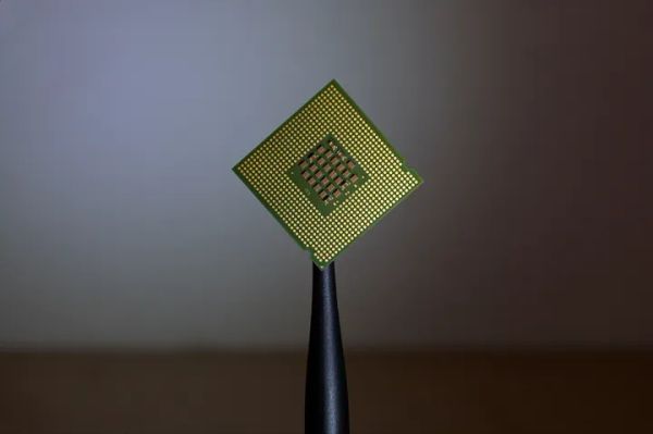 A microchip