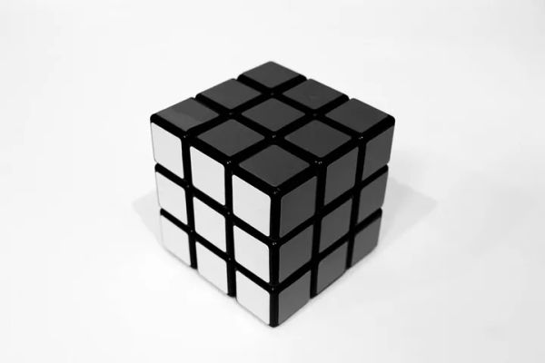 A black-and-white Rubik's cube